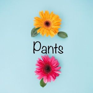 PANTS